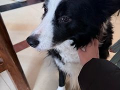 -哈尔滨北方国际青年旅舍(中央大街店)