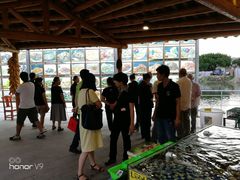 -顺德了能馆(虎门店)