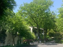 -杭州雅谷泉山庄酒店-餐厅