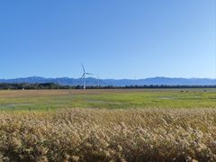 -野鸭湖国家湿地公园