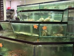 -镇发活海鲜(Clementi)