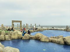 -渔岛海洋度假区