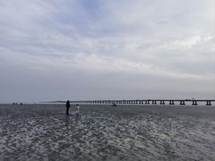 -南汇新城海滩