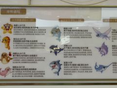 -龙格亲子游泳·水育早教运动中心(龙湾天街店)
