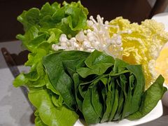 蔬菜拼盘-海底捞火锅(海宁路店)
