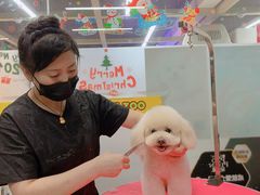 -米卢宠物公园(广华居店)