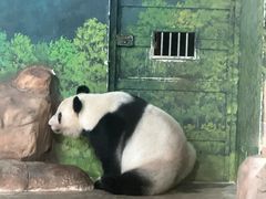 -南宁市动物园