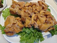 -爱膳菌锅锅(阳南店)