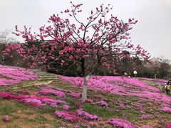 -棒棰岛宾馆景区