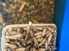 -食客烧烤(罗道庄店)