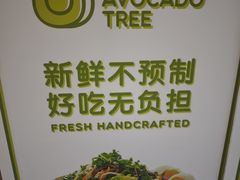 -油梨树AVOCADO TREE(望京店)