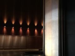 -新加坡文华东方酒店