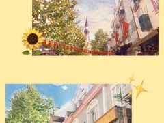 -四川省成都市彭州市白鹿镇