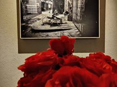 -漪龙台·B26 Rooftop Lounge