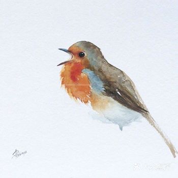 水彩类的小鸟画作满满的生命力