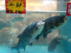 -榕记(番禺总店)