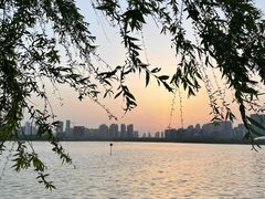 -天鹅湖体育公园
