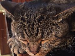 -云端咖啡私房店(河松街店)