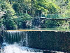 -大奇山国家森林公园