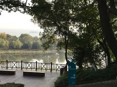 -上海市保健医疗中心