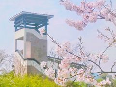 -湘湖金融镇