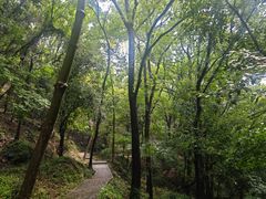 -上海佘山国家森林公园天马山园