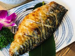 青花鱼-酒井酱子·深夜食堂(东城汇店)