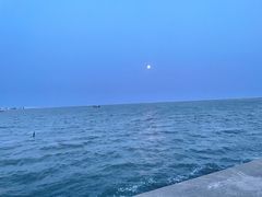 -奉贤海滩