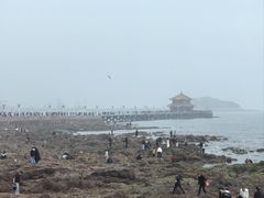 -青岛海滨风景区