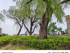 -长春市南湖公园