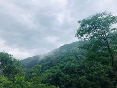-秦岭终南山世界地质公园翠华山景区