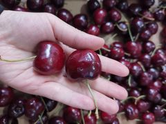 -红星农博物流中心