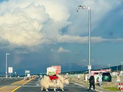 -青海湖二郎剑景区