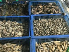 -山东八大碗山东老字号