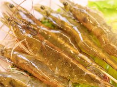 -御膳粥·牛乳粥底火锅·地道顺德菜(容桂店)
