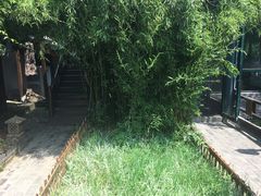 -慢丽江·云南野生菌土鸡锅(西山店)