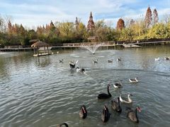 -溱湖国家湿地公园