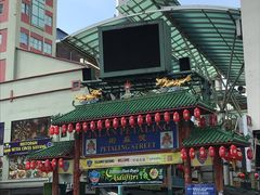 -罗汉果龙眼冰糖燉冬瓜