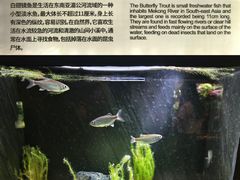 -上海海洋水族馆