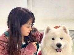 -星多哈·狗咖·拼豆·咖啡