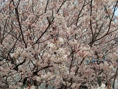 -老即墨路901炸串(台东商业步行街百年国际金街店)