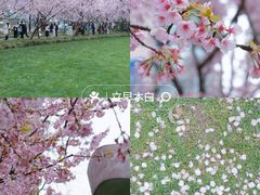 -静安雕塑公园