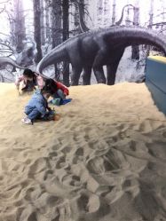 -恐龙探索乐园(磁器口店)