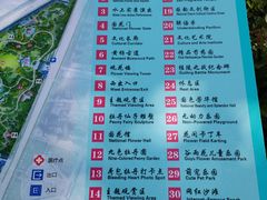 -曹州牡丹园