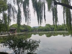 -西湖外事游船(花港观鱼码头)