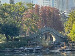 -四海公园(南山区)