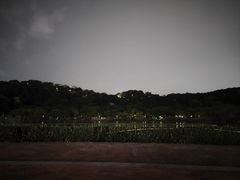 -飞凤山奥体公园