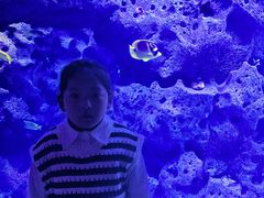 -哈尔滨波塞冬海底世界