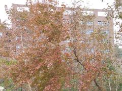 -北京师范大学(珠海校区)