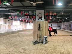 -李振强马术运动推广中心(南城店)